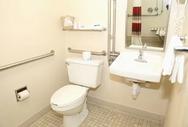 Superior Oda, 1 En Büyük (King) Boy Yatak, Engellilere Uygun, Sigara İçilmez (Roll-In Shower)