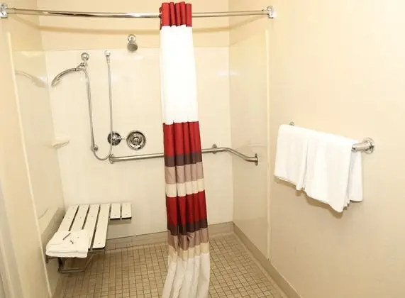 Superior Oda, 1 En Büyük (King) Boy Yatak, Engellilere Uygun, Sigara İçilmez (Roll-In Shower)