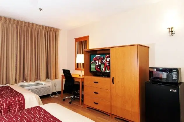 Deluxe Oda, 2 Çift Kişilik Yatak, Sigara İçilmez