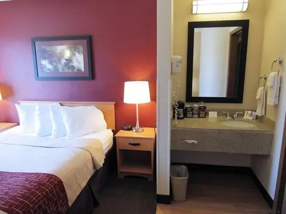 Deluxe Oda, 2 Çift Kişilik Yatak, Sigara İçilmez