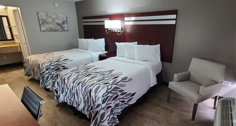 Deluxe Oda, 2 Çift Kişilik Yatak, Sigara İçilmez