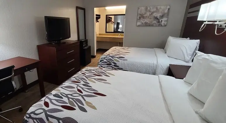 Deluxe Oda, 2 Çift Kişilik Yatak, Sigara İçilmez