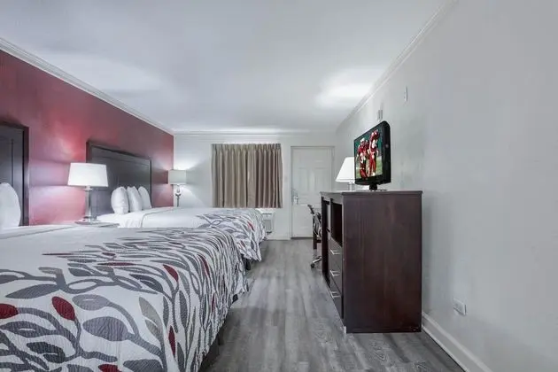 Deluxe Oda, 2 Büyük (Queen) Boy Yatak, Sigara İçilmez