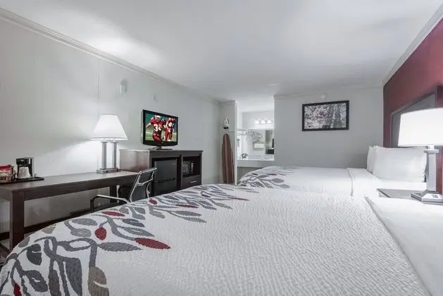 Deluxe Oda, 2 Büyük (Queen) Boy Yatak, Sigara İçilmez