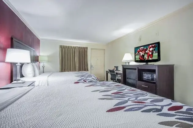 Deluxe Oda, 2 Büyük (Queen) Boy Yatak, Sigara İçilmez