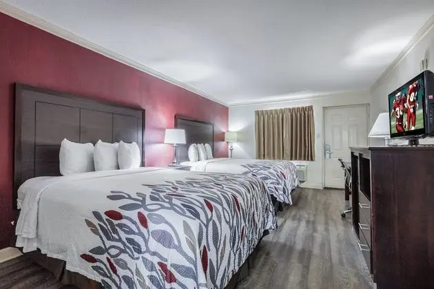 Deluxe Oda, 2 Büyük (Queen) Boy Yatak, Sigara İçilmez