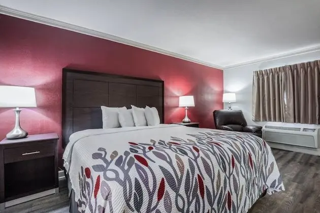 Superior Oda, 1 En Büyük (King) Boy Yatak, Engellilere Uygun, Sigara İçilmez (Roll-In Shower)