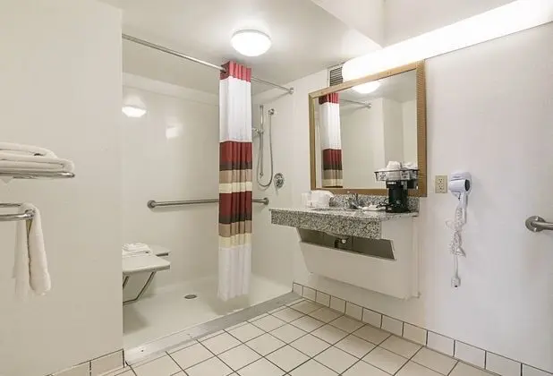 Standard Oda, 1 Büyük (Queen) Boy Yatak, Engellilere Uygun (Kitchenette, Roll-In Shower)