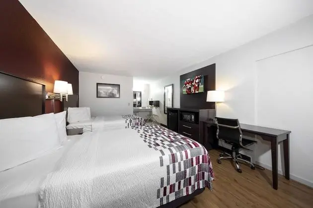 Deluxe Oda, 2 Çift Kişilik Yatak, Sigara İçilmez
