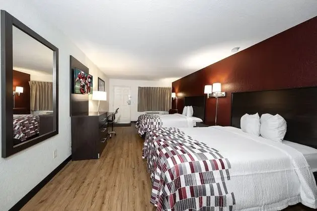 Deluxe Oda, 2 Çift Kişilik Yatak, Sigara İçilmez