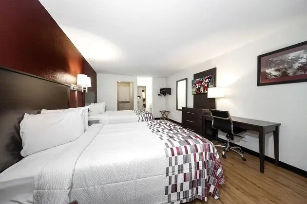 Deluxe Oda, 2 Çift Kişilik Yatak, Sigara İçilmez