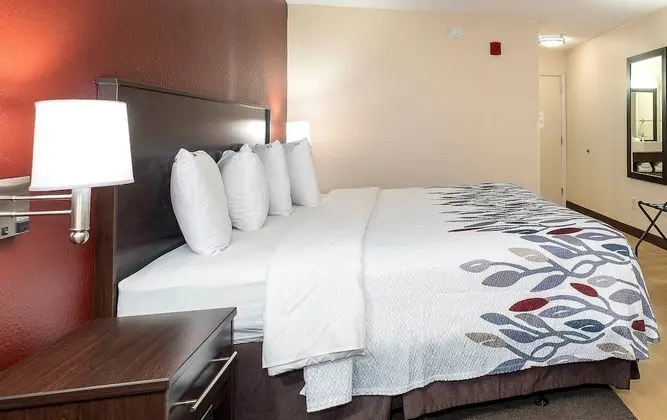 Deluxe Oda, 1 En Büyük (King) Boy Yatak, Sigara İçilmez