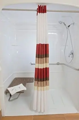Deluxe Oda, 1 En Büyük (King) Boy Yatak, Engellilere Uygun, Sigara İçilmez (Roll-In Shower)