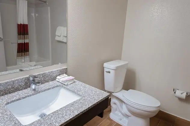 Deluxe Oda, 1 En Büyük (King) Boy Yatak, Engellilere Uygun, Sigara İçilmez (Roll-In Shower)