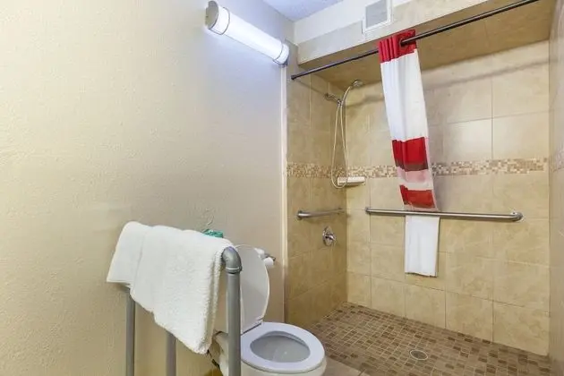 Deluxe Oda, 1 En Büyük (King) Boy Yatak, Engellilere Uygun, Sigara İçilmez (Roll-In Shower)