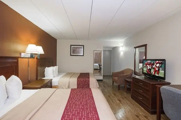 Deluxe Oda, 2 Çift Kişilik Yatak, Sigara İçilebilir