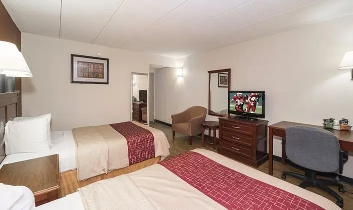 Deluxe Oda, 2 Çift Kişilik Yatak, Sigara İçilebilir