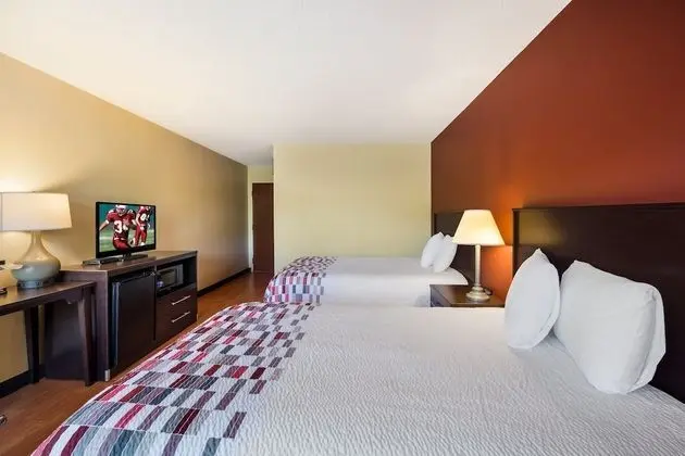 Deluxe Oda, 2 Çift Kişilik Yatak, Sigara İçilmez
