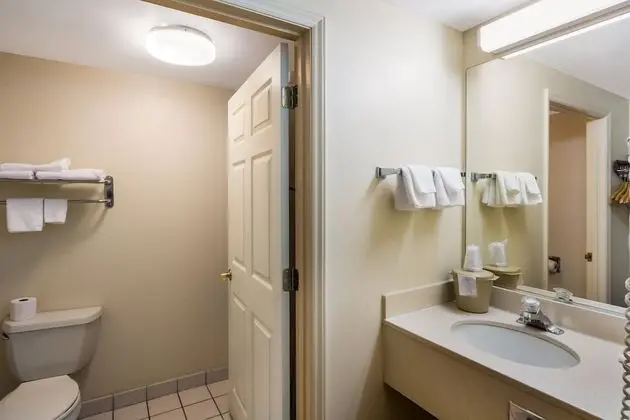 Superior Oda, 1 En Büyük (King) Boy Yatak, Sigara İçilmez