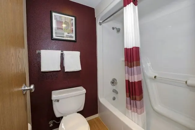 Süit, Sigara İçilmez, Sıcak Su Küveti (2 Queen Beds with Sofa Bed)