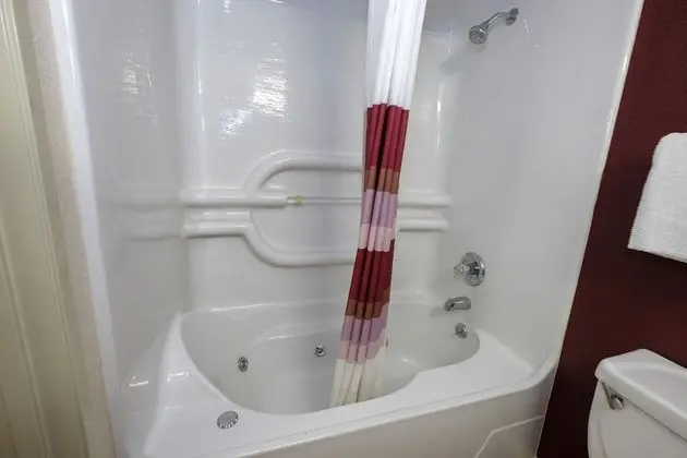 Süit, Sigara İçilmez, Sıcak Su Küveti (2 Queen Beds with Sofa Bed)