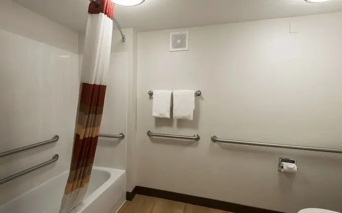 Deluxe Oda, 2 Büyük (Queen) Boy Yatak, Engellilere Uygun, Sigara İçilebilir (Roll-In Shower)