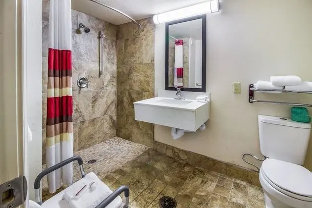 Deluxe Oda, 1 En Büyük (King) Boy Yatak, Engellilere Uygun, Sigara İçilmez (Roll-In Shower)