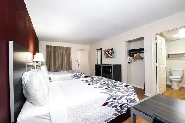 Deluxe Oda, 2 Çift Kişilik Yatak, Engellilere Uygun, Sigara İçilmez