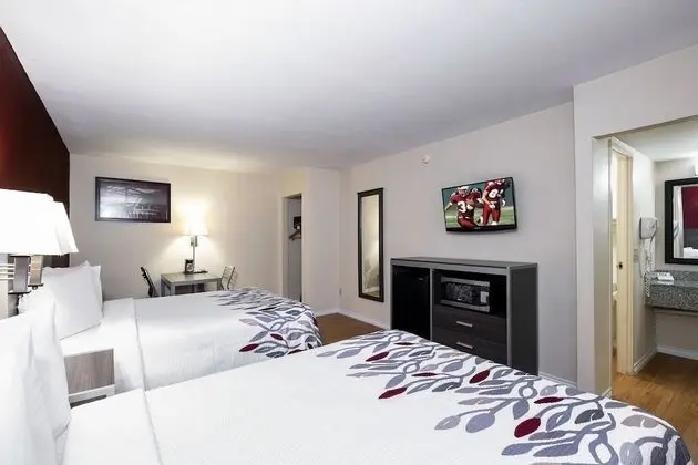 Deluxe Oda, 2 Çift Kişilik Yatak, Sigara İçilmez