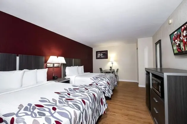 Deluxe Oda, 2 Çift Kişilik Yatak, Sigara İçilmez