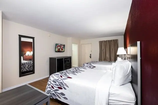 Deluxe Oda, 2 Çift Kişilik Yatak, Sigara İçilmez