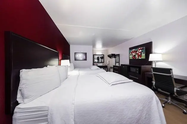 Premium Oda, 2 Büyük (Queen) Boy Yatak (Upgraded Bedding & Snack, Smoke Free)