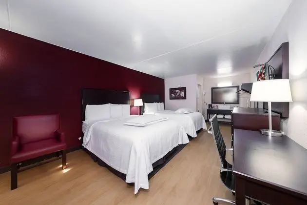 Premium Oda, 2 Büyük (Queen) Boy Yatak (Upgraded Bedding & Snack, Smoke Free)