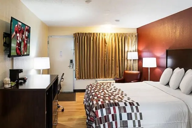 Deluxe Oda, 1 Çift Kişilik Yatak, Sigara İçilmez