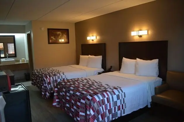 Deluxe Oda, 2 Çift Kişilik Yatak, Sigara İçilmez