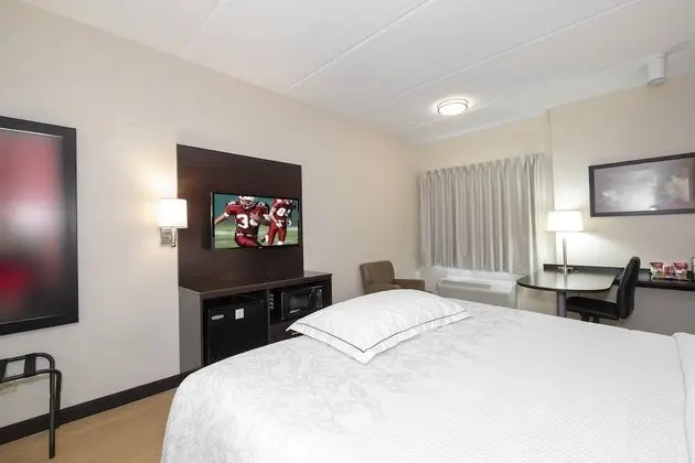 Premium Oda, 1 En Büyük (King) Boy Yatak ve Çekyat (Upgraded Bedding & Snack, Smoke Free)