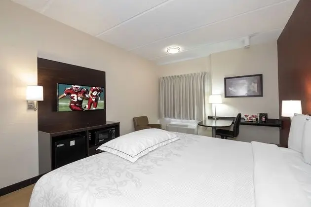Premium Oda, 1 En Büyük (King) Boy Yatak ve Çekyat (Upgraded Bedding & Snack, Smoke Free)