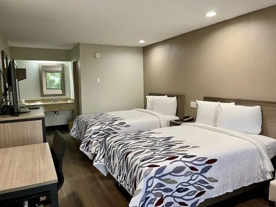 Deluxe Oda, 2 Çift Kişilik Yatak, Sigara İçilebilir (Renovated)