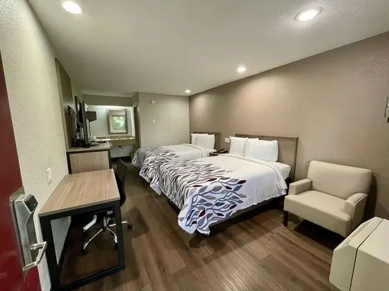 Deluxe Oda, 2 Çift Kişilik Yatak, Sigara İçilebilir (Renovated)