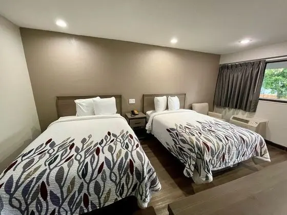 Deluxe Oda, 2 Çift Kişilik Yatak, Sigara İçilmez (Renovated)