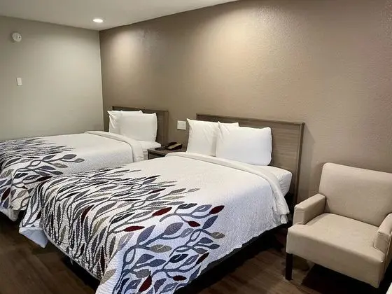 Deluxe Oda, 2 Çift Kişilik Yatak, Sigara İçilmez (Renovated)