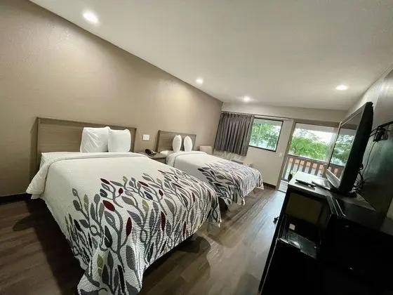 Deluxe Oda, 2 Çift Kişilik Yatak, Sigara İçilmez (Renovated)
