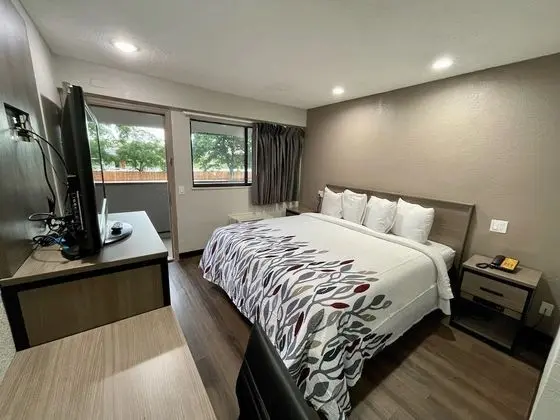 Standard Oda, 1 En Büyük (King) Boy Yatak, Sigara İçilmez (Renovated)