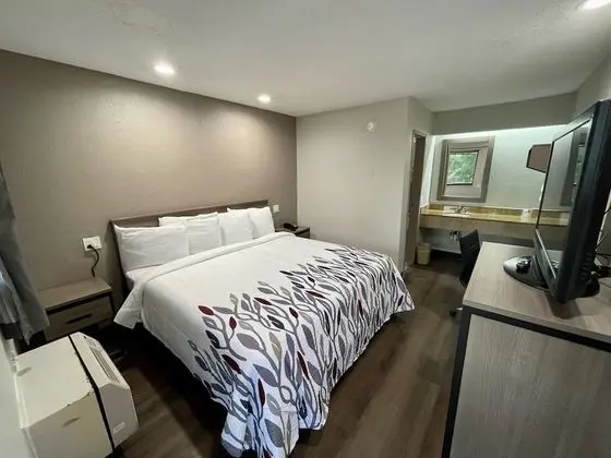Standard Oda, 1 En Büyük (King) Boy Yatak, Sigara İçilmez (Renovated)