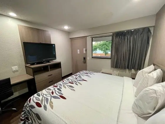 Standard Oda, 1 En Büyük (King) Boy Yatak, Sigara İçilmez (Renovated)