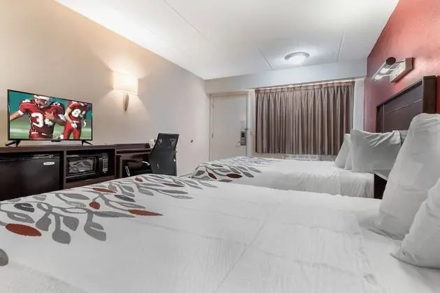 Deluxe Oda, 2 Çift Kişilik Yatak, Sigara İçilmez