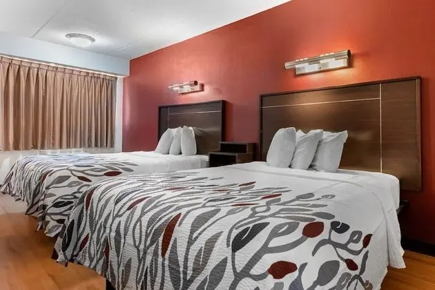Deluxe Oda, 2 Çift Kişilik Yatak, Sigara İçilmez