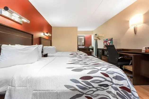 Deluxe Oda, 2 Çift Kişilik Yatak, Sigara İçilmez