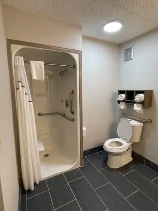 Deluxe Oda, 1 En Büyük (King) Boy Yatak, Engellilere Uygun, Sigara İçilmez (Roll-In Shower)