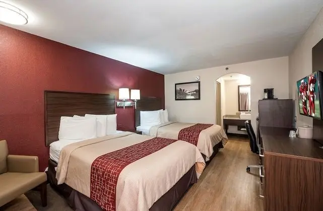 Deluxe Oda, 2 Çift Kişilik Yatak, Sigara İçilmez